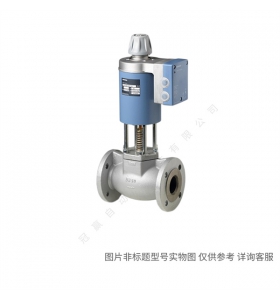 Siemens/¥Զ VXF42.100-160C