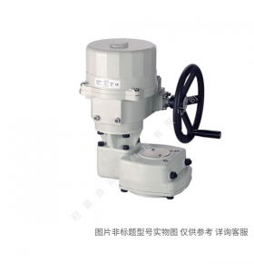 Siemens/¥Զ VVF63.150-315 