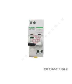 Schneider-ʩ͵C65H-DC-2P΢C50A_A9N22081·-·С