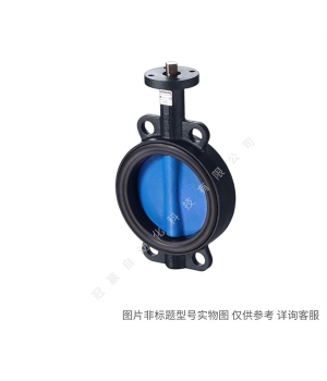 Siemens/¥Զ CBT:VVI47.25-10 ͨPN16