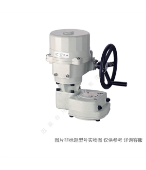 Siemens/¥Զ IBT:VXF47.50 ͨPN16